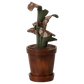 Maileg Flower pot with plant, Miniature