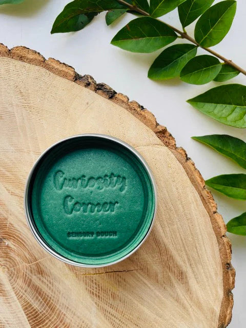 Curiosity Corner Playdough Autumn Air Teal Sea Breeze