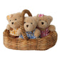 Wilberry Picnic Bears Set