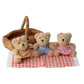 Wilberry Picnic Bears Set