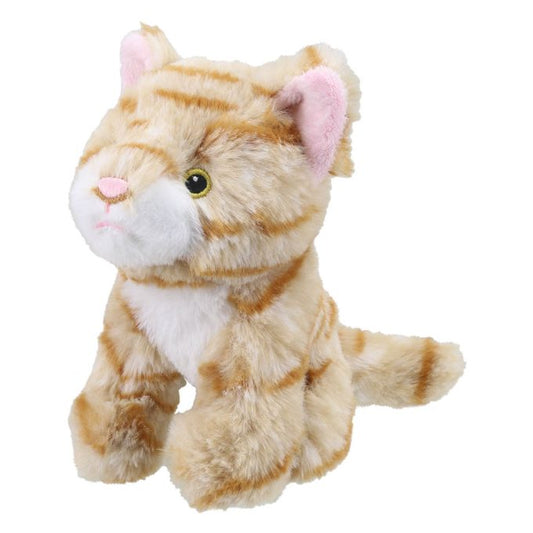 Cat – Ginger – Wilberry ECO Minis