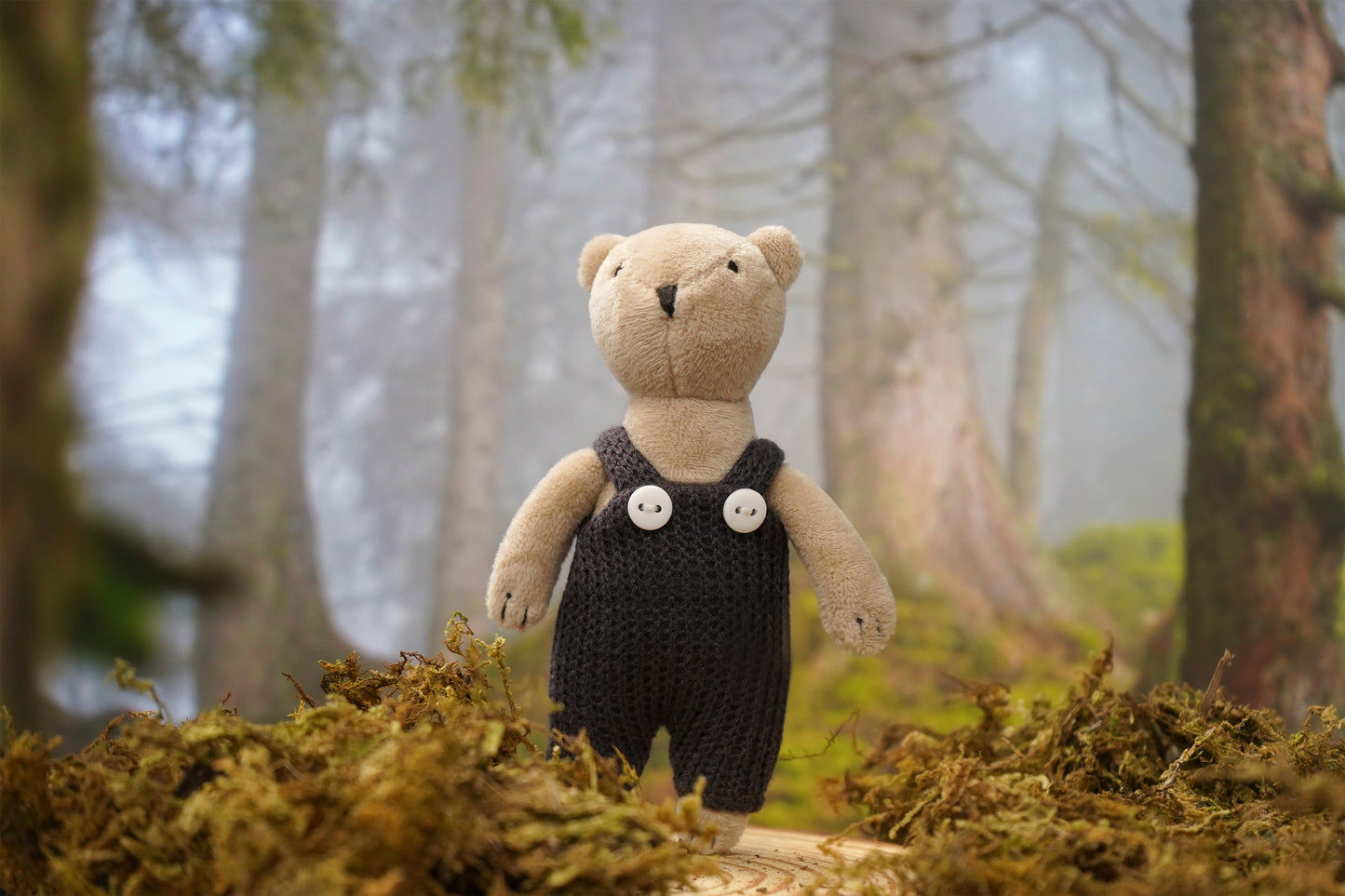 Wild Wanderers 'Billy The Bear' Matchbox Toy