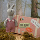 Wild Wanderers 'Betsy The Bunny' Matchbox Toy
