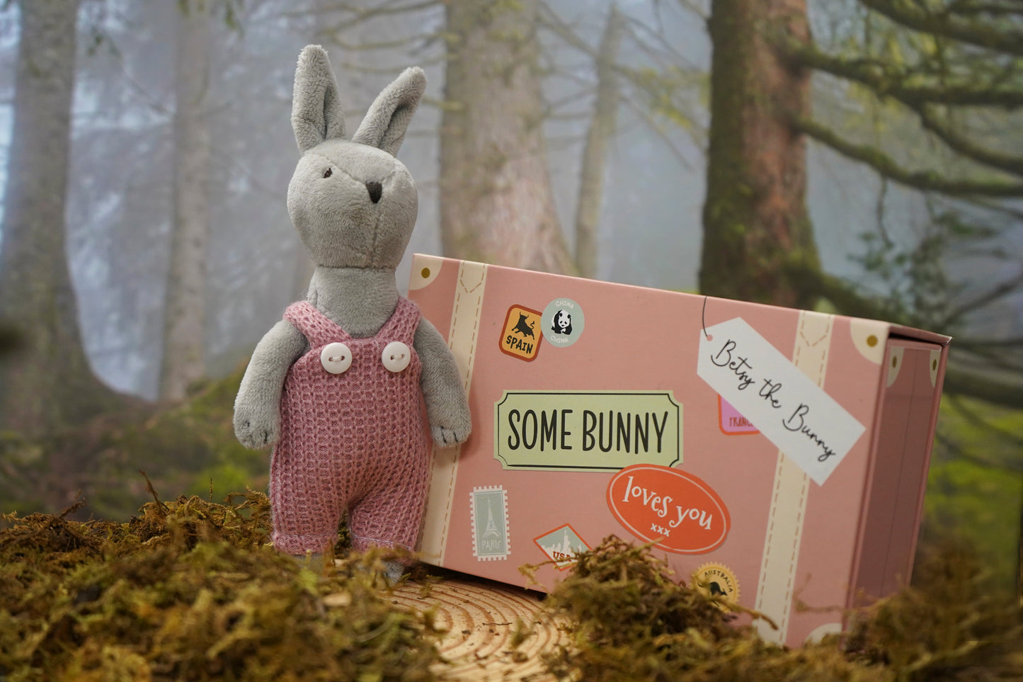Wild Wanderers 'Betsy The Bunny' Matchbox Toy