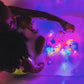 Glo Pals Light up Sensory Cubes - Character Pack