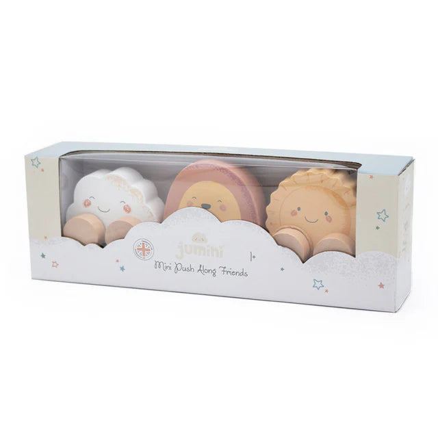Mini Wooden Push Along Friends