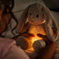 Steiff Hoppie Rabbit Light Grey 28cm Night Light