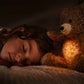 Steiff Light at Night Caspar Teddy bear