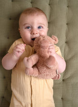 Load image into Gallery viewer, Little Dutch Cuddle Pig 17cm Little Farm

