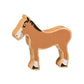 Lanka Kade Foal