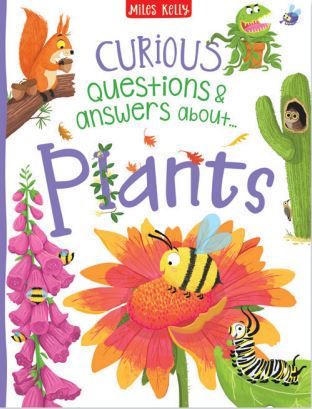 Curious Questions and Answers About Plants