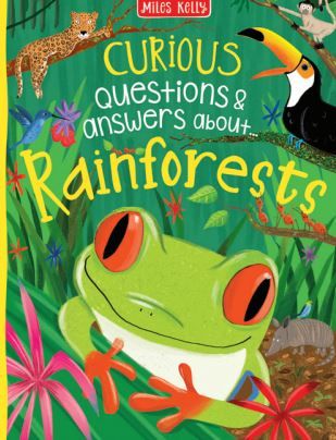 Curious Questions and Answers About Rainforest