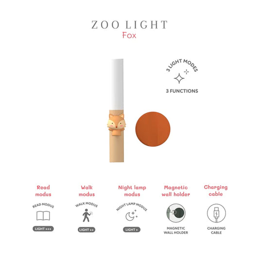 Zoo Light Lion