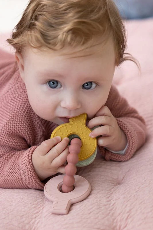 Little Dutch Baby Silicone Teething Toy Keychain Pink